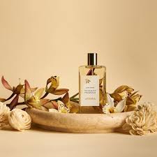 Lavanila perfume bottles with natural ingredients like vanilla pods and fresh grapefruit