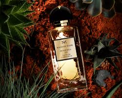 Maison Noir fragrance bottle with elegant black-and-gold design.
